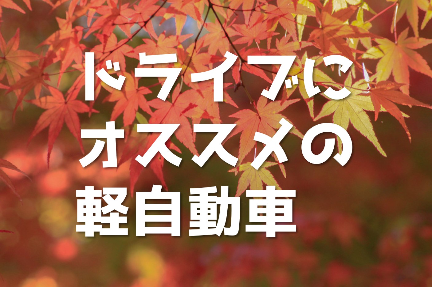 ドライブが楽しい軽自動車ランキング オススメ紅葉スポット北陸エリア ブログ カーボ 軽未使用車専門店 軽自動車買うなら福井最大級300台在庫