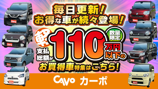 110万円以下お買得車